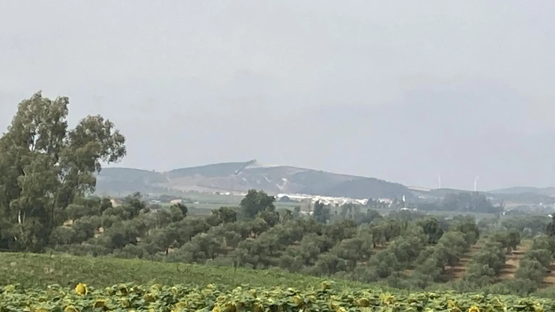 Casa Campina Jerezana Villa Torrecera 0*,