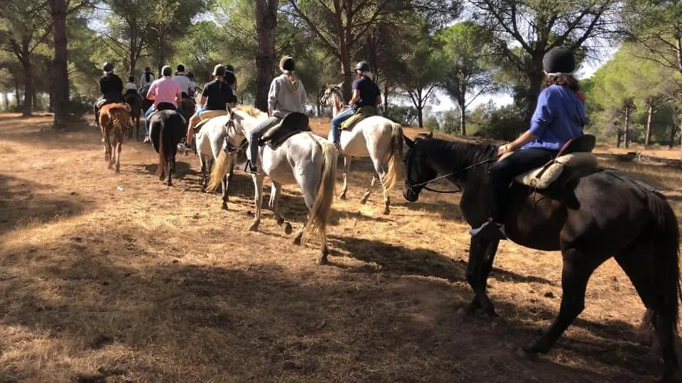 Casa Campina Jerezana Villa Torrecera 0*,